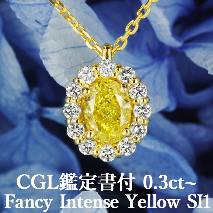 1.00 cts 天然 ファンシー 色 ダイヤモンド ネックレス 楽天市場】☆全品ポイント5倍/9月4日20:00〜11日01:59