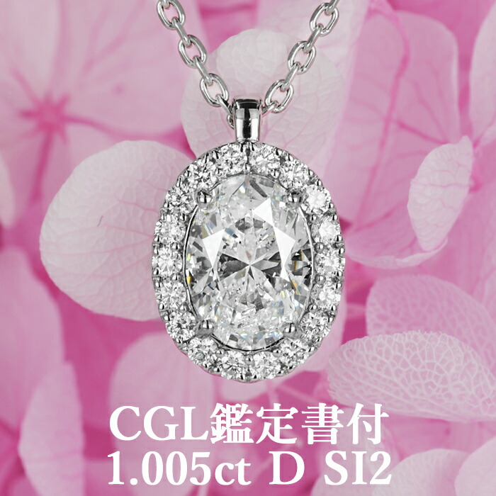 プラチナ900 850 天然ルビー　1ct ダイヤモンド　NC 専用 楽天市場】0.5ct 1ct ダイヤモンド ネックレス 一粒 プラチナ