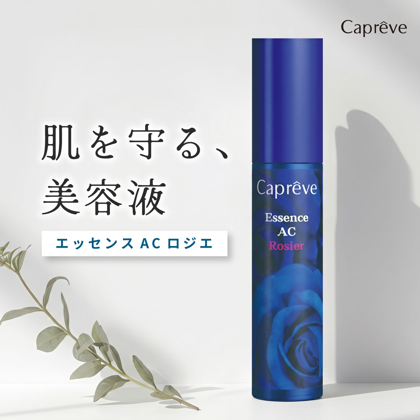 ＼一こま別で選ぶ／  赤ちょうちん調度品 特集