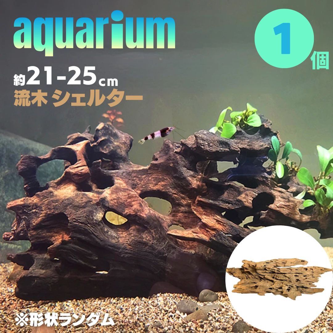 楽天市場】気楽 アクアリウム 流木 穴あき小魚シェルター 1個