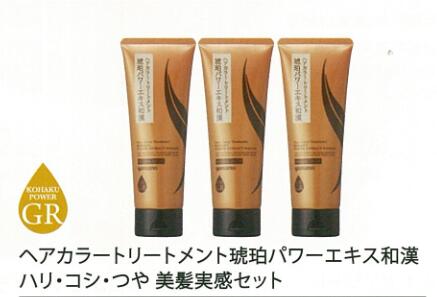 【山野愛子どろんこ美容】5510/ヘアカラートリートメント琥珀色力強さ抽出エキス和漢ハリ・コシ・つや美髪実感書き割り/単品買いもとめるより1881円お得です