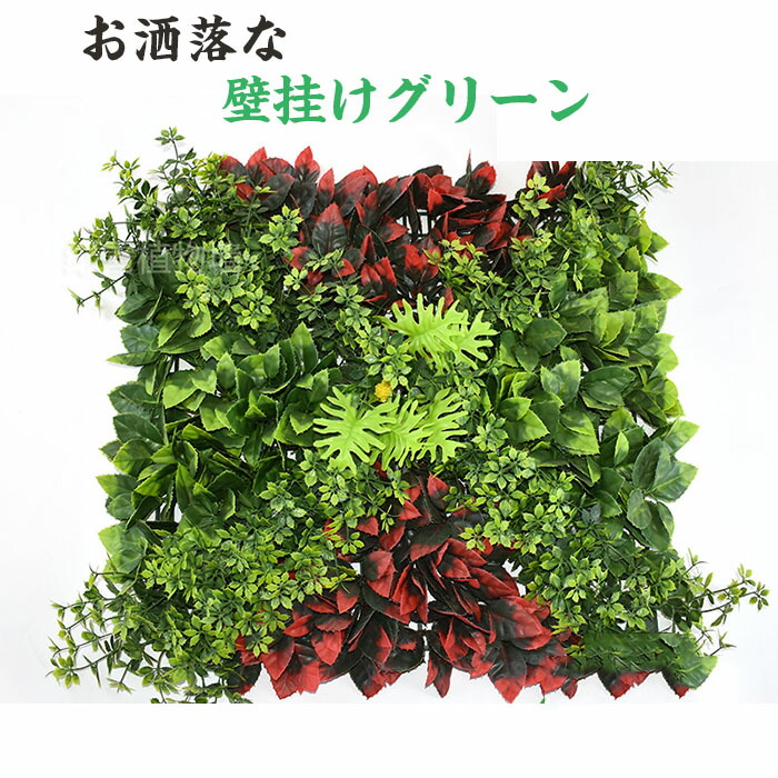 楽天市場】グリーンウォール 40×60cm 4枚set 天然 ウォール