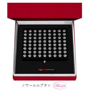 クリスチャン ルブタン Christian Louboutinラパレット ケース Me ノワールルブタン Salon Raquet De