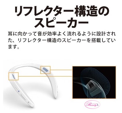 AN-SS2P