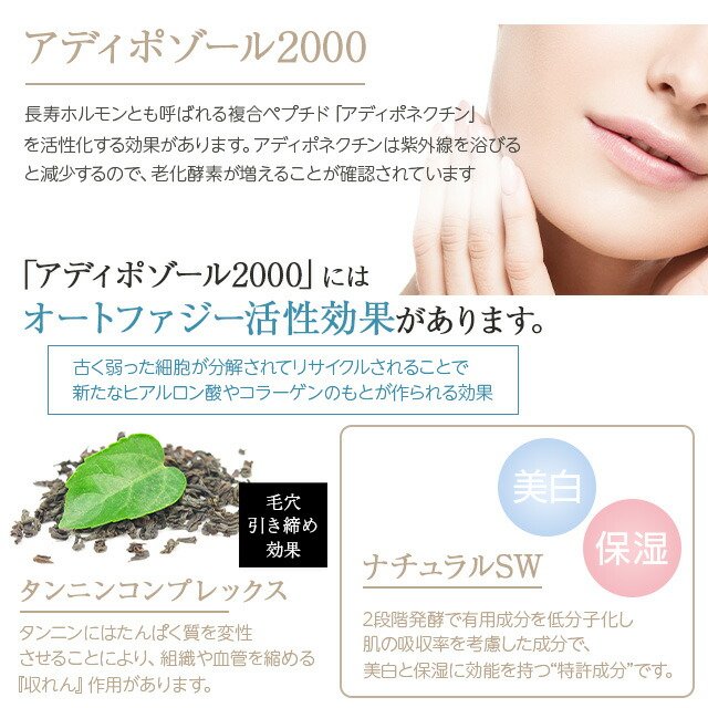 V3シャイニングファンデーションレフィル正規品15g詰替用2個セットスピケアSPICAREイノスピキュール