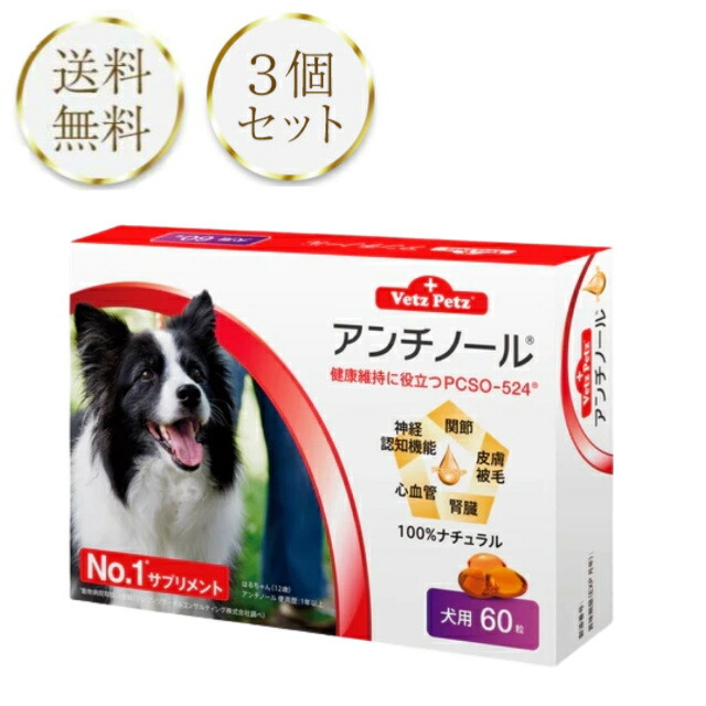 大きな割引 アンチノール 犬 犬用 60粒 3個セット サプリメント Vetz Petz 健康維持 関節 腎臓 心血管 認知症 fucoa.cl