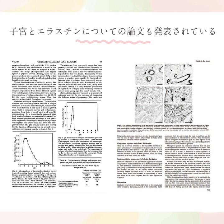 正規販売店ICHICAイチカピープロテインマルチミックス500g女性用プロテイン妊活温活腸活ボディメイク