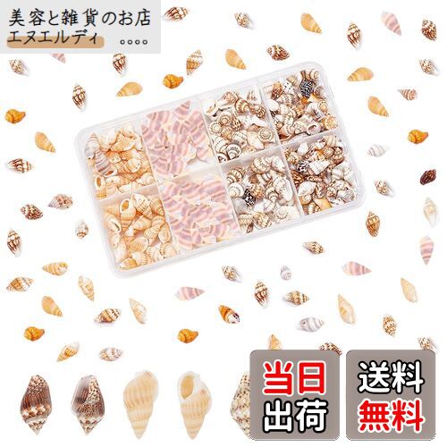 楽天市場】405個 貝殻セット 巻貝 カラー貝 3種 ビーズ ナチュラル