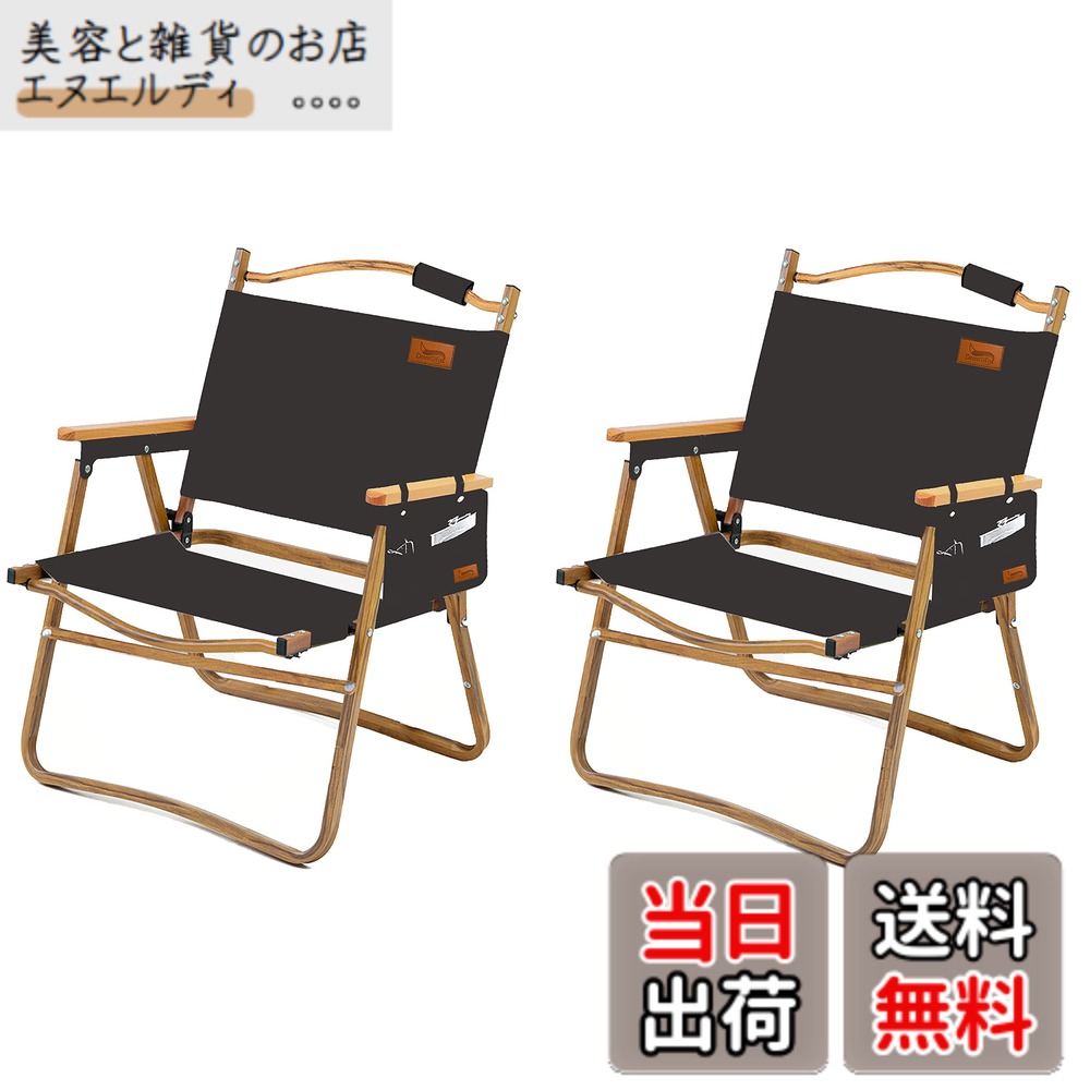【送料無料】DesertFox アウトドア チェア キャンプ チェア 軽量 2個セット 折りたたみ 椅子 【耐荷重150kg】 四季適用 コンパクト軽量 携帯便利 イス ピクニック キャンプ用 DY001 (くろ，スタイルA) 7,175円