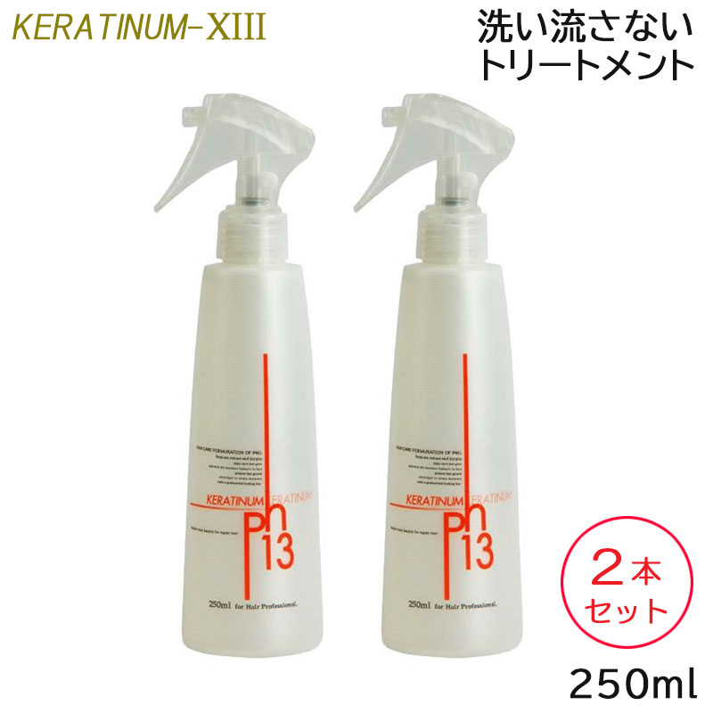 (2本セット) ケラチナムサーティーン 13 プロ 250ml スプレーボトル 洗い流さないトリートメント アウトバス ダメージケア サロン専売品 美容室 ケラチン ヘアケア (送料無料) (asr)