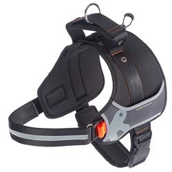 HERCULES　ハーネス　ブラック　XL 75468517　 【ドッグ　犬用 ペット用品　ペットグッズ】