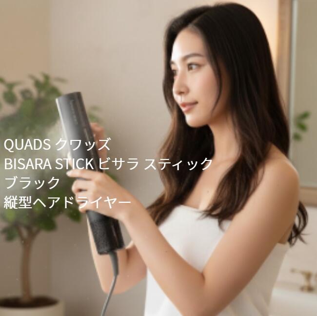 楽天市場】ビサラ ドライヤー スティック BISARA STICK 大風量 イオン