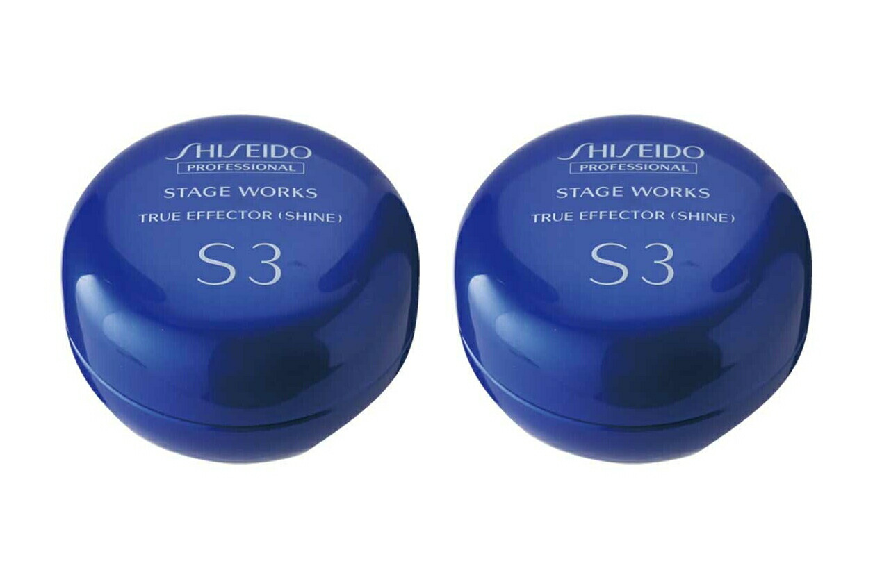 楽天市場】【N-4】【送料無料】資生堂プロフェッショナル