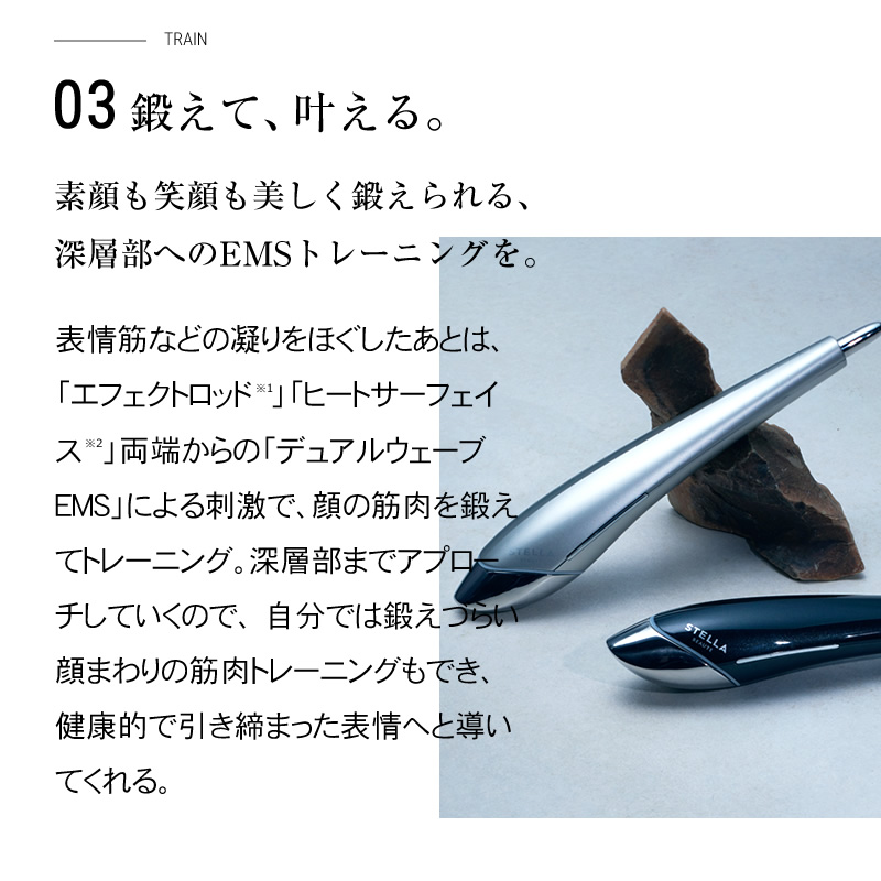 楽天1位/正規品販売店/送料無料/選べるカラー】ステラボーテ