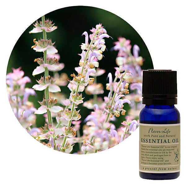 楽天市場】Flavor life（フレーバーライフ） メイチャン