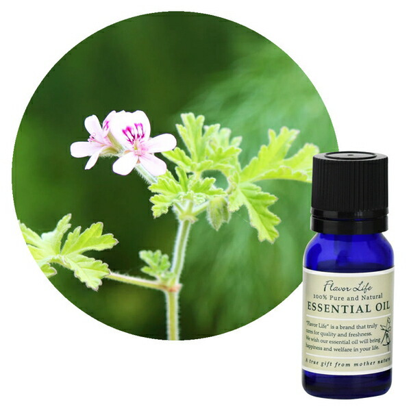 楽天市場】生活の木 エッセンシャルオイルディフューザー ラウンド