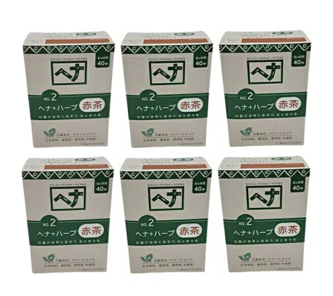 【6個まとめ買い】ナイアードヘナ＋ハーブ 100g　6個セット　【送料無料】