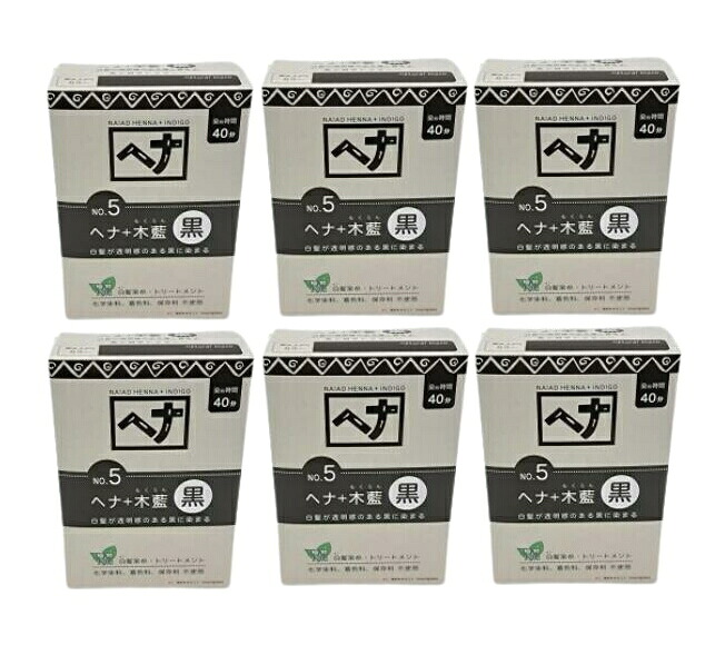 【6個まとめ買い】ナイアードへナ+木藍 黒 100g 6個セット 【送料無料】