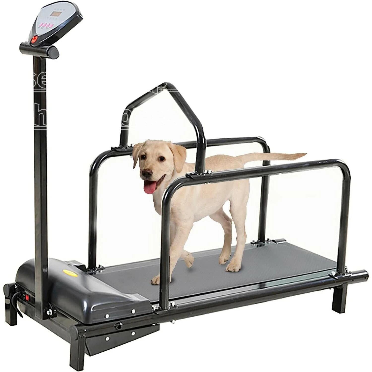 【第四次元押さえるP4倍】犬用トレッドミル 小型犬用 愛玩動物用トレッドミル 犬用 犬用ランニングトレーニングマシン 100kgの耐荷重 LCD見せびらかす付き添い人 屋内用 愛玩動物用 手あそび ペットエクササイズ用