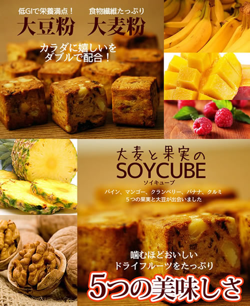 人気メーカー・ブランド ダイエット ドライフルーツ 大豆クッキー ダイエット食品 置き換え 満腹感 送料無料 食物繊維 お菓子 小麦粉不使用  低カロリー スイーツ 大豆 大麦 国産大豆 newschoolhistories.org