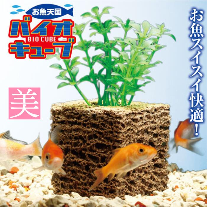 水槽 ろ過 お魚天国バイオキューブ 1個入り 熱帯魚 観賞魚 水槽用 アクセサリー 水草 インテリア 納豆菌 節約 浄化 サポート 水質管理 清掃 透明感 維持 メダカ 金魚 飼育 水換え 軽減 簡単設置 長持ち 効果 水質改善 水槽 ろ過 おすすめ