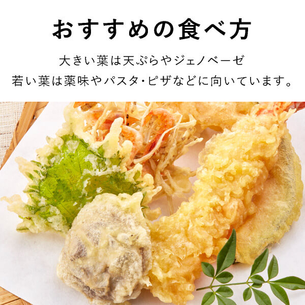 楽天市場 送料無料 テーブル菜園 大葉 栄養剤1本 Bebery ベベリー 楽天市場店