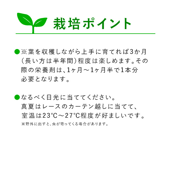 楽天市場 送料無料 テーブル菜園 ケール 栄養剤1本 おうち時間 菜園 家庭菜園 水耕栽培キット 野菜 ケール プランター栽培 初心者 家庭菜園セット 栄養剤付 室内 Bebery ベベリー 楽天市場店