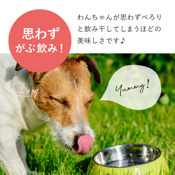 楽天市場 おこもり 巣ごもり おうち時間 送料無料 ワンちゃんのジュース りんご 本入 犬用 ジュース ドリンク 栄養補給 無添加 果汁100 水分補給 犬 飲料 りんごジュース リンゴ 林檎 送料無料 Bebery ベベリー 楽天市場店