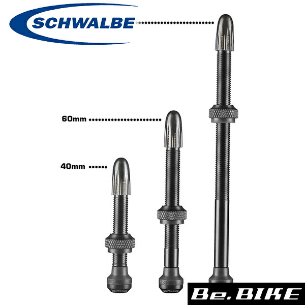 SCHWALBE (シュワルベ) バルブエクステンション2個入り (シルバー 17mm) [並行輸入品] SCHWALBE ( シュワルベ ) バルブ＆エクステンション バルブ