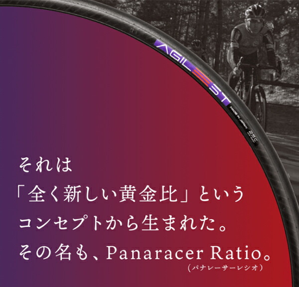 2本セット AGILEST TLR 28C アジリスト チューブレスレディ PANARACER