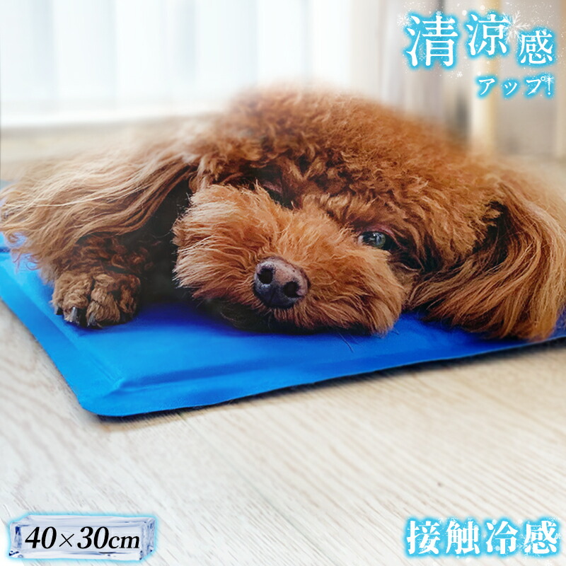 本日特価 耐圧分散マット ペット用マット Sサイズ ペット マットレス 70 50 厚さ5cm 床ずれ防止 抗菌 防臭 防水 防汚加工 Plemium Pet Living Riosmauricio Com