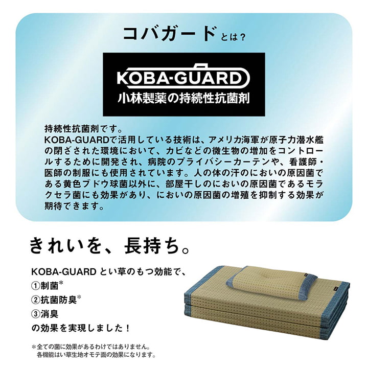 い草 い草枕 い草マット セット お昼寝 くつろぎ 父の日 シンプル マットサイズ約80×180cm