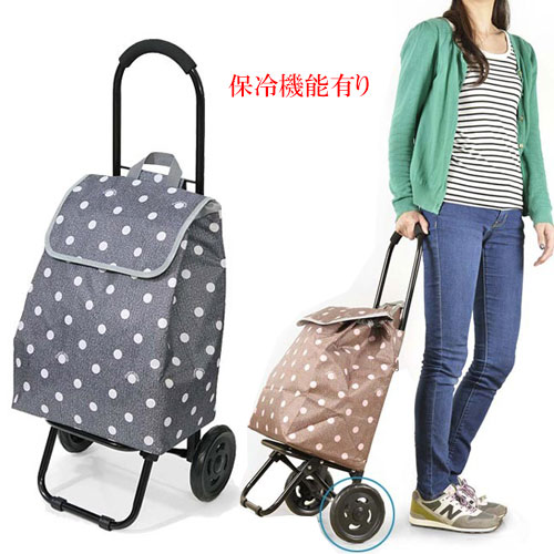 保冷機能付き ショッピングキャリーカート 折りたたみ 保冷機能有り お買い物に便利 トート型買い物に超便利 軽量 最大90 オフ
