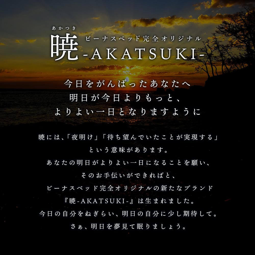 暁 AKATSUKI 2枚合わせ エクセルゴールドラベル 抗菌 羽毛布団 230 ...