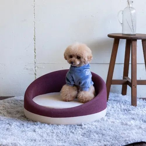 ペットベッド ペット用 ベッド パープル ペットソファ 円形 ファブリック Sサイズ