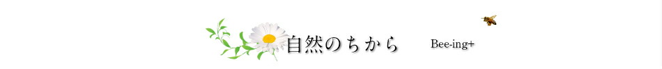 生はちみつビーイング 山梨特産品:非加熱・無添加・酵素生蜂蜜はビーイング 代替医療 元気をお届け