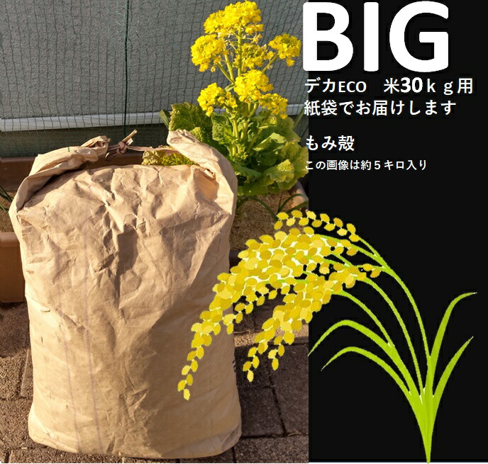 楽天市場】籾殻 もみ殻 もみがら Big 約5ｋｇ 甲府市で生産しているお米屋さん 新米のモミガラ 屋内ミニ菜園 家庭菜園 土壌改良 保湿 保水  霜よけ 真夏の日差し除け : 生はちみつビーイング 山梨特産品