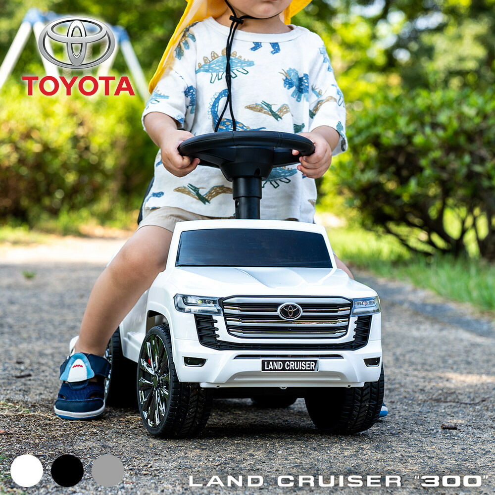 楽天市場】【スーパーSALEで使えるクーポンあります！】ランクル