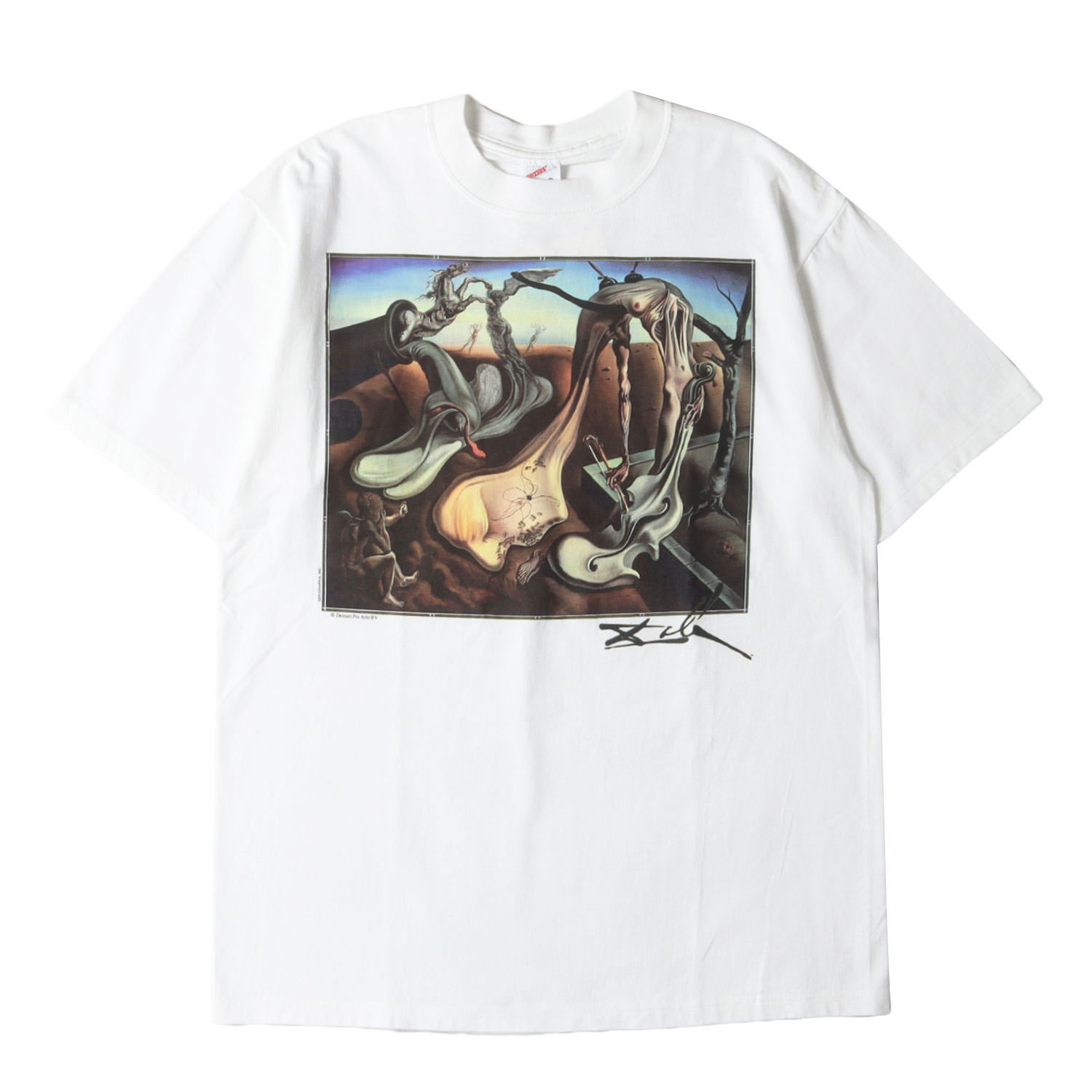 90s - 00s ヴィンテージ古着 / [夜の蜘蛛] 90s Salvador Dali アートプリント Tシャツ / USA製 / サルバドール・ダリ / ホワイト 白 / サイズ:M / トップス カットソー 半袖【メンズ】【中古】【K4782】