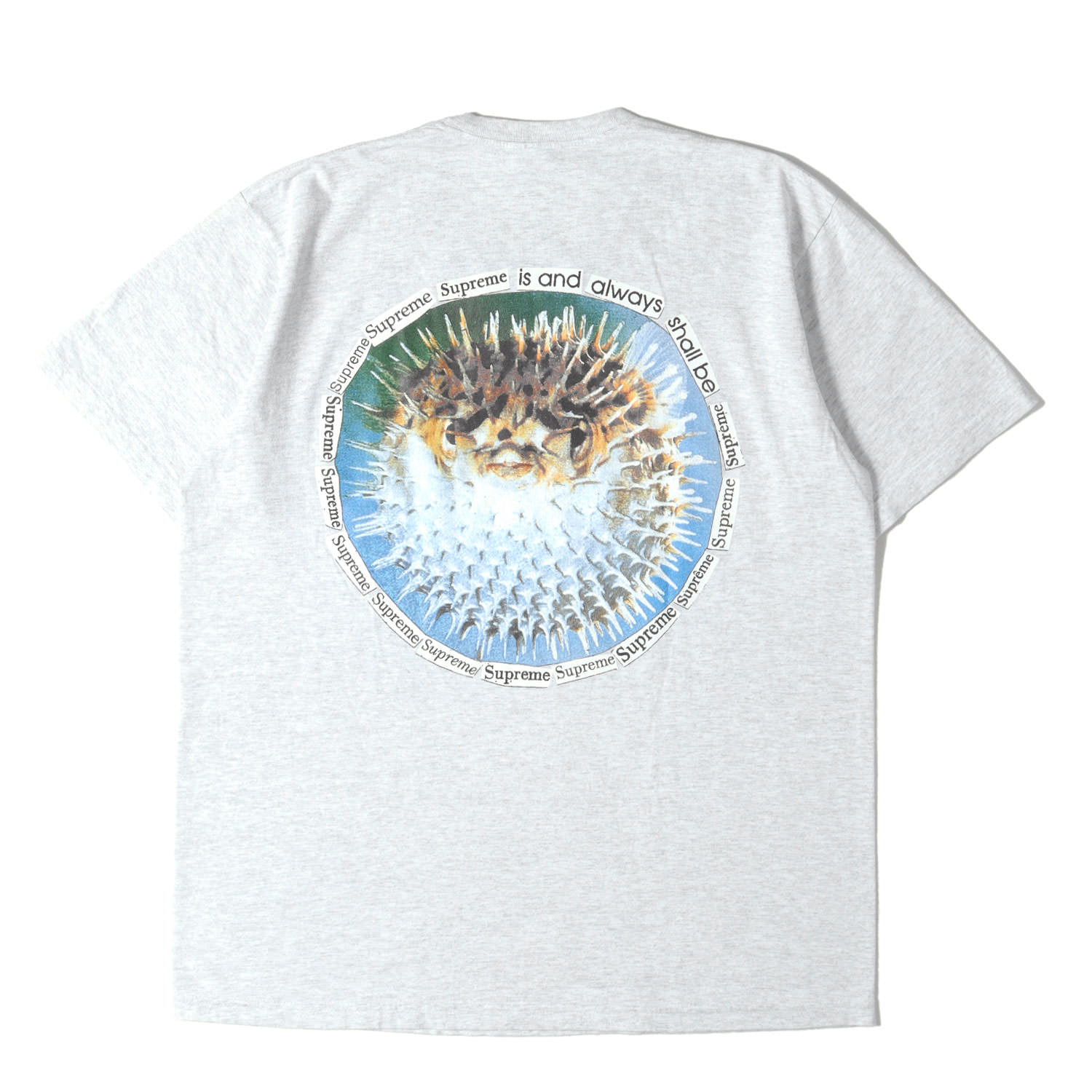 Supreme シュプリーム Tシャツ アッシュグレー サイズ:M | 23SS ハリセンボン グラフィック Tシャツ(Blowfish Tee) | トップス カットソー 半袖【メンズ】【中古】【美品】【K4849】｜ブランド古着のBEEGLE by Boo-Bee