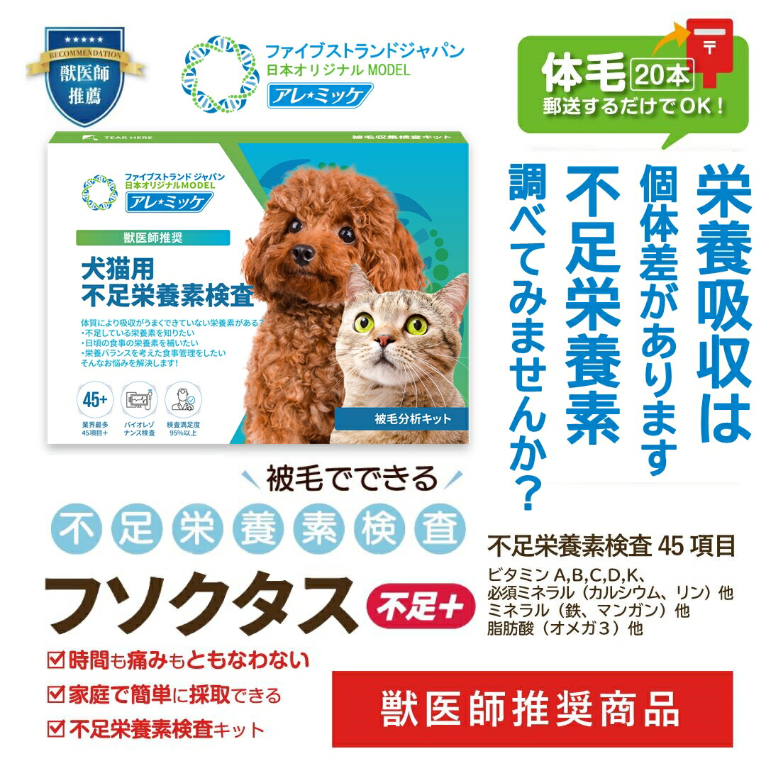 アレルギー反応？そこ住み処で精神測定検査してみませんか？獣お医者さんとき勧める、実業家最多の430約款の精神測定検査