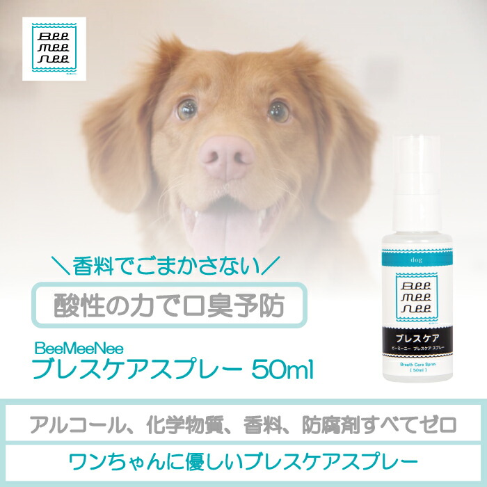 楽天市場】ビーミーニー 犬用 スキンケアスプレー 本体 200ml 犬