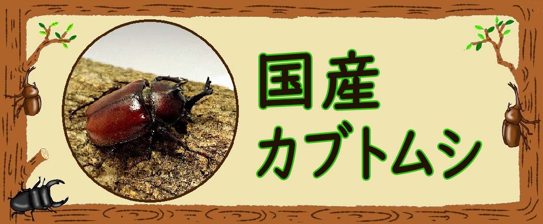 楽天市場】【ギネス級続出最強マット】Rush1 Super Fine 楽天市場】【ギネス級続出最強マット】Rush1 Super Fine