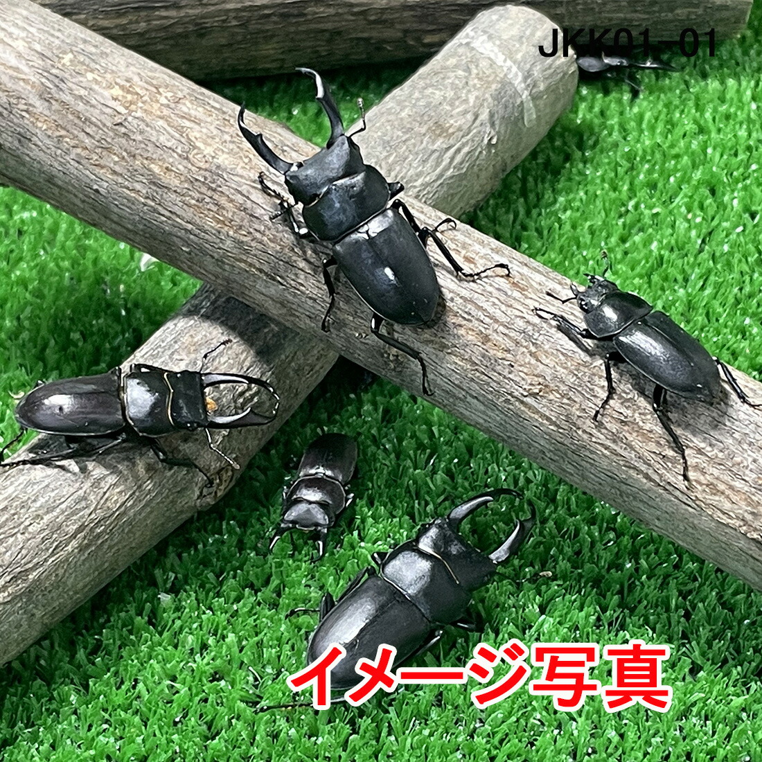 グリコ　ジェットメカ昆虫　クワガタＢ　送料込み グリコ ジェットメカ昆虫 クワガタB 送料込み - メルカリ