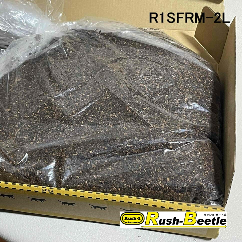 楽天市場】【ギネス級続出最強マット】Rush1 SFレギュラーマット(微粒