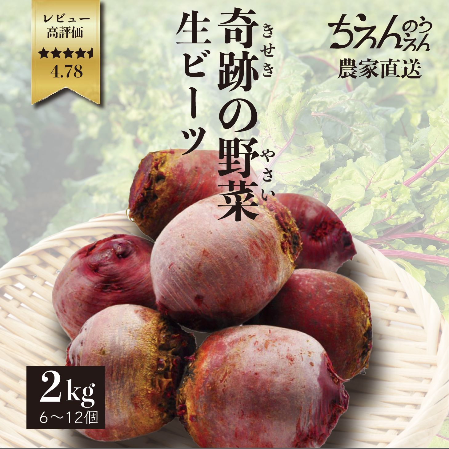 【楽天市場】産地直送ビーツ ちえんのうえん 無農薬 4kg fresh beets beetroot 神奈川県産 農家 新鮮 ビートルート 国産 西洋 野菜 スーパーフード 食べる輸血 beauty美容 美肌 healthy健康 生ビーツ 葉酸 オリゴ糖 食物繊維 ボルシチ ピクルス スムージー 食材  ...