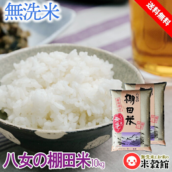 米10kg 送料無料 九州 無洗米<br>福岡県八女産棚田米無洗米<br>5kg2個セット<br>送料無料 10キロ 令和6年産<br>