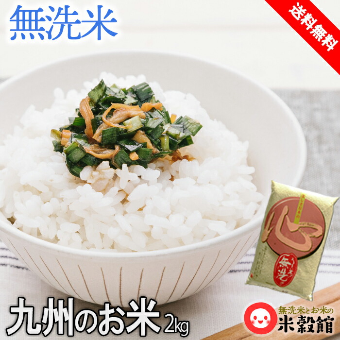 げんちゃん様専用 無洗米 リピート価格 - 米・雑穀・粉類