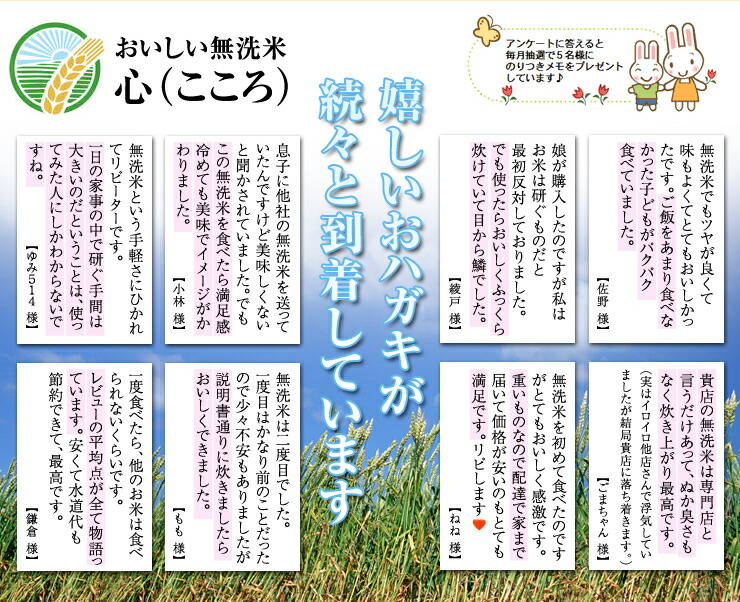 九州産 その他 送料無料 30kg 米 雑穀 小分け お米 30kg 30キロ 無洗米 洗わなくていい無洗米は 無洗米のお店 米穀館 におまかせください 30kg まとめ買い価格無洗米 心 30kgご注文専用ページ九州産令和2年産熊本キヌヒカリ 無洗米のお店 米穀館 米 5kg 6個 九州産 その他 送料無料 30kg 米 雑穀 小分け お米 30kg 30キロ 無洗米 洗わなくていい無洗米は 無洗米のお店 米穀館 におまかせください 30kg まとめ買い価格無洗米 心 30kgご注文専用ページ九州産令和2年産熊本キヌヒカリ 無洗米のお店 米穀館 米 5kg 6個