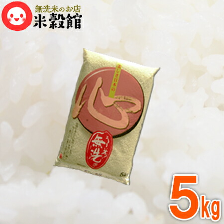 楽天市場】無洗米 4kg(2kg×2) 小分け米 無洗米 送料無料 九州産「心